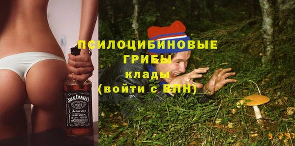 спайс Белокуриха