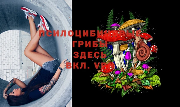 спайс Белокуриха