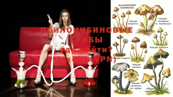 спайс Белокуриха