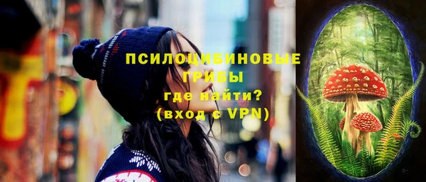 спайс Белокуриха