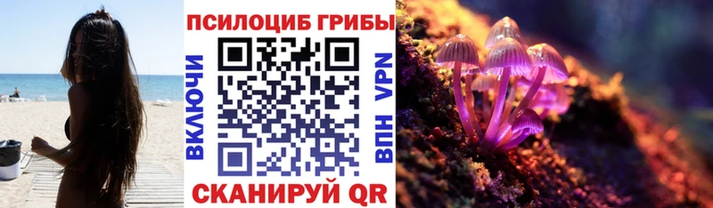 Псилоцибиновые грибы Cubensis цены Неман